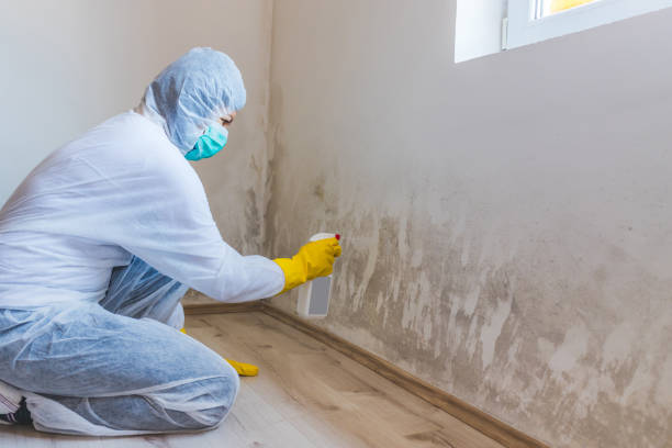 Licensed Mold Inspection service in Teaneck, NJ - WQB Mold Removal