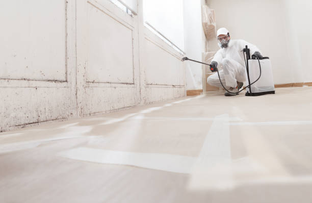 24/7 Emergency Mold Inspection experts in Teaneck, NJ