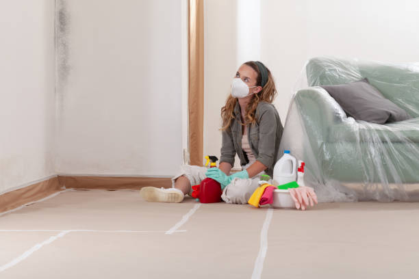 Trusted Mold Inspection service in Teaneck, NJ - WQB Mold Removal